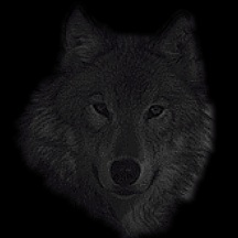 wolfheadbackg.jpg